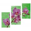Триптих орхидея DANA-43