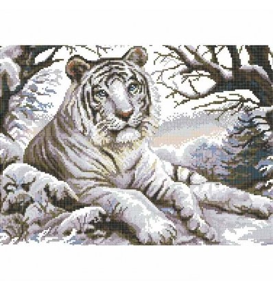 Белый тигр ЧВ 50-331