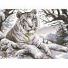 Білий тигр ЧВ 50-331