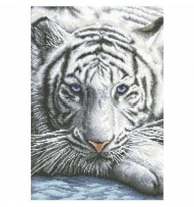 Белый тигр ЧВ 50-331