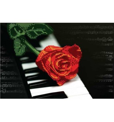 Розы DANA-2175