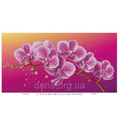 Орхидея DANA-511