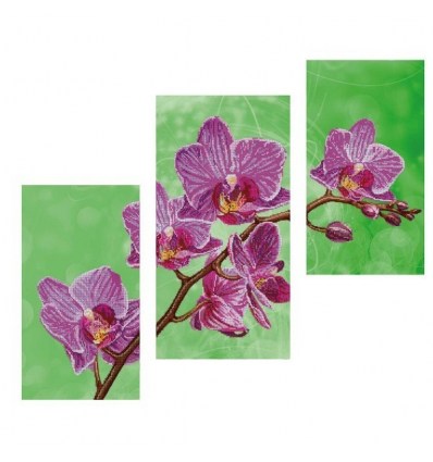 Триптих орхидея DANA-43(н)