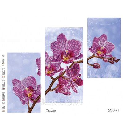 Триптих орхидея DANA-42(н)