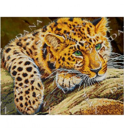Леопард DANA-3533