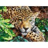 Леопард DANA-3645